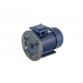 Электродвигатель промышленный БЭЗ АИР 100L2 IM2081 (5.5 кВт, 3000 об/мин) 