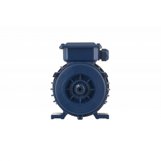 Электродвигатель промышленный БЭЗ АИР 160S2 IM1081 (15.0 кВт, 3000 об/мин) ,фото 2